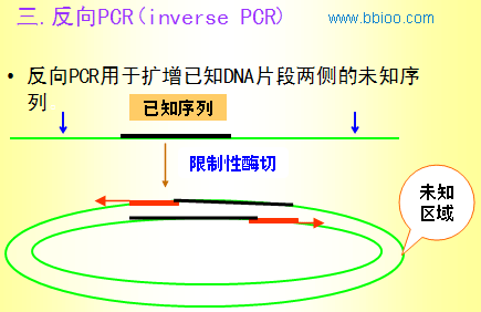 [转发]pcr技术的原理与方法