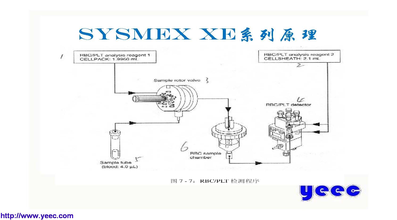 xe_页面_010.jpg