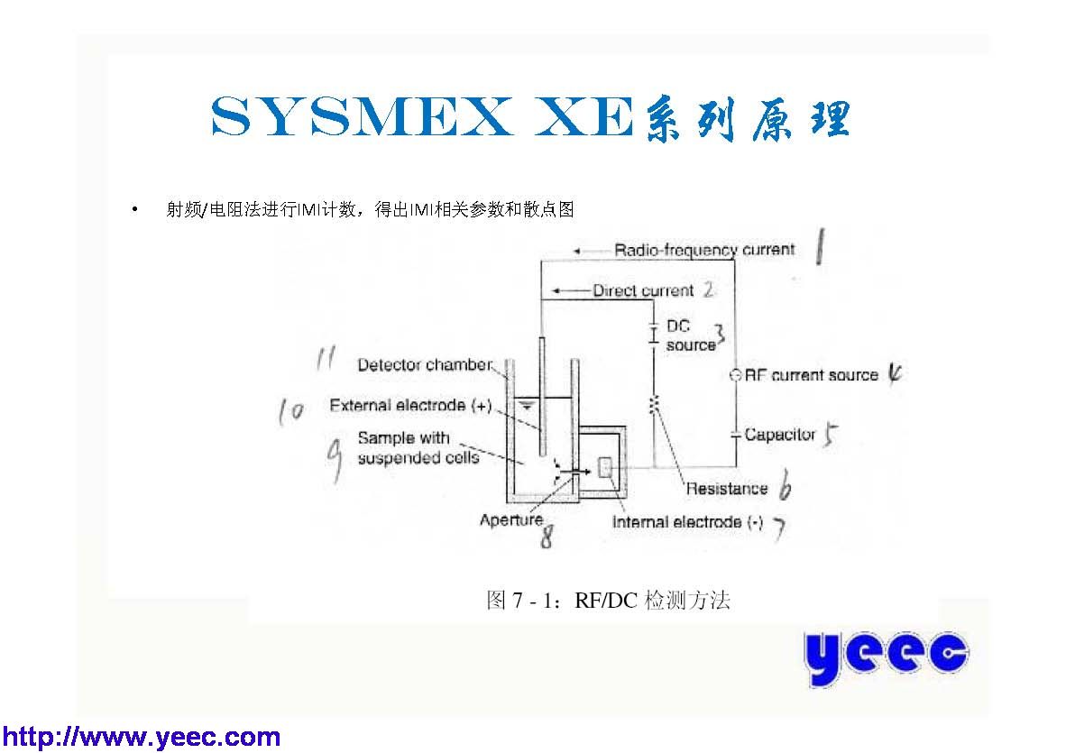 xe_页面_007.jpg