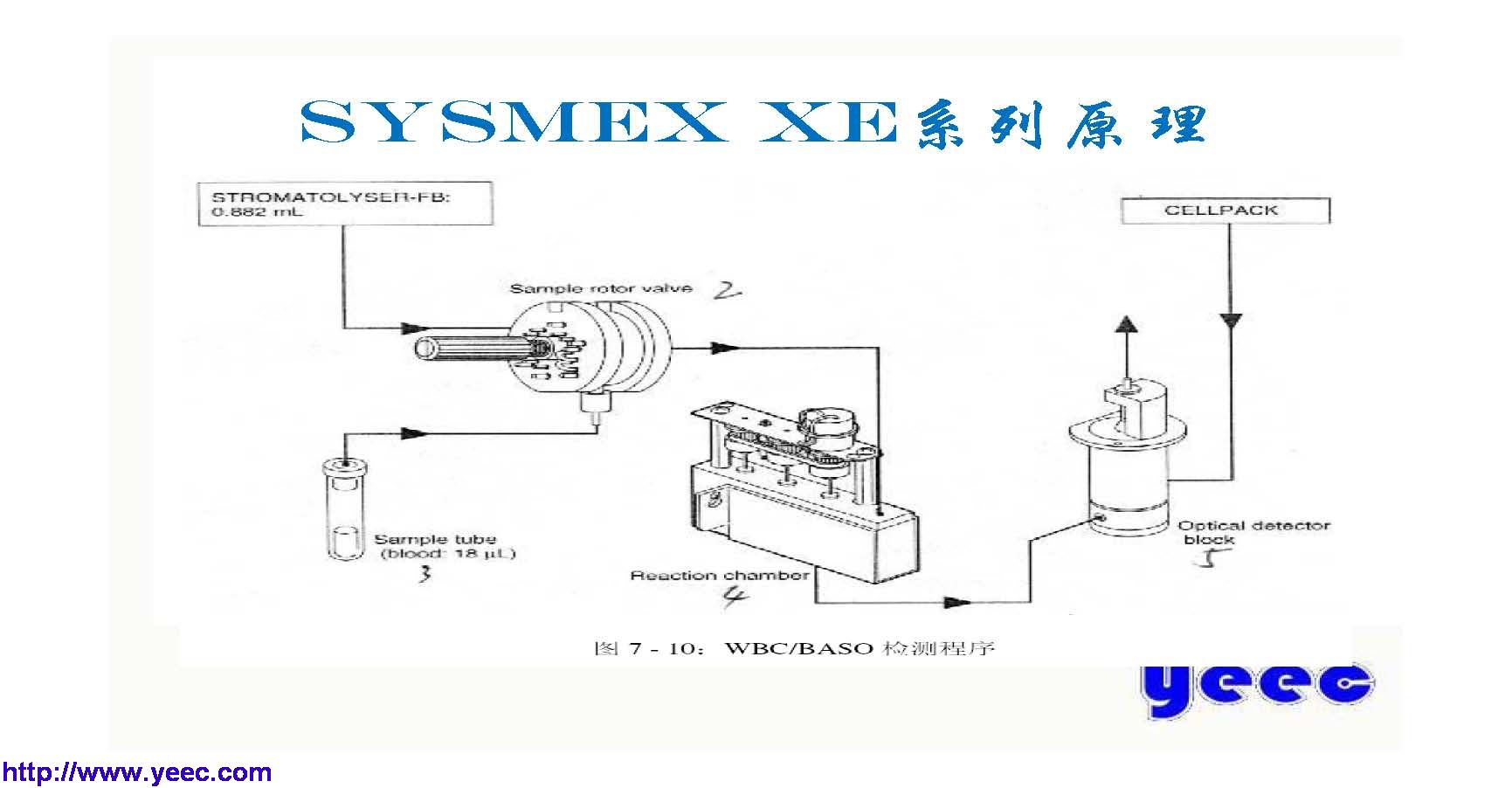 xe_页面_013.jpg