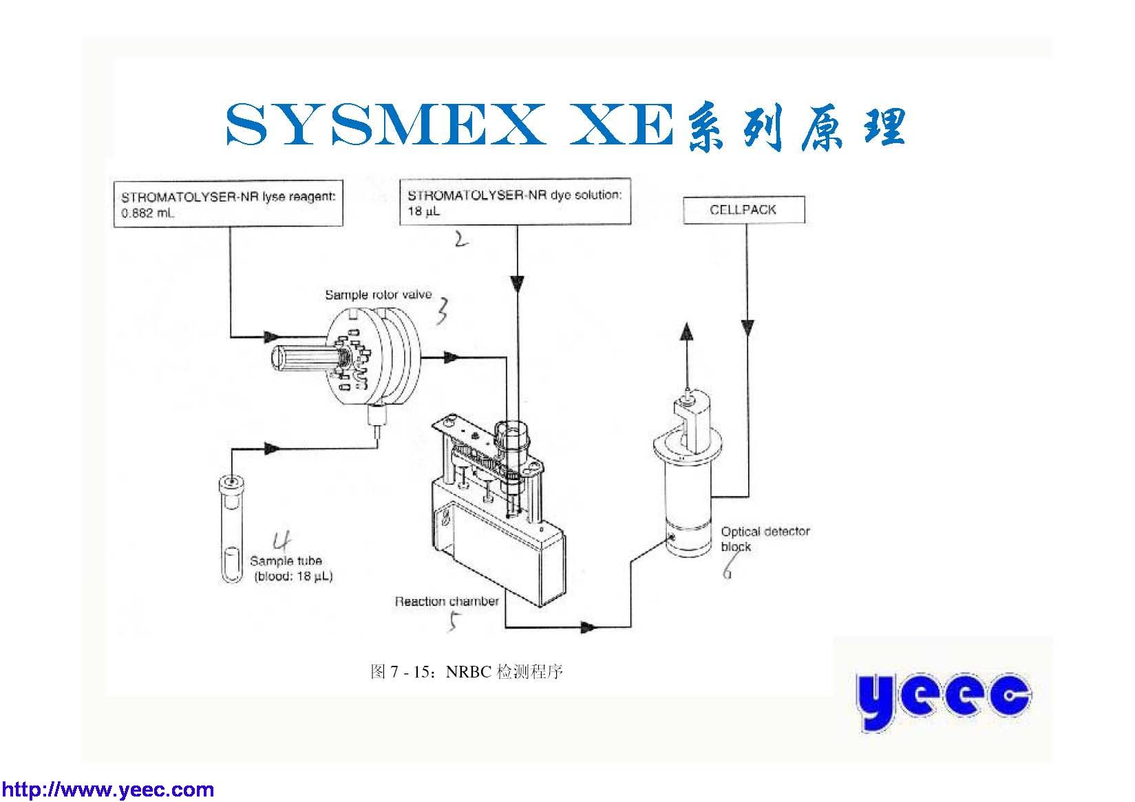 xe_页面_015.jpg