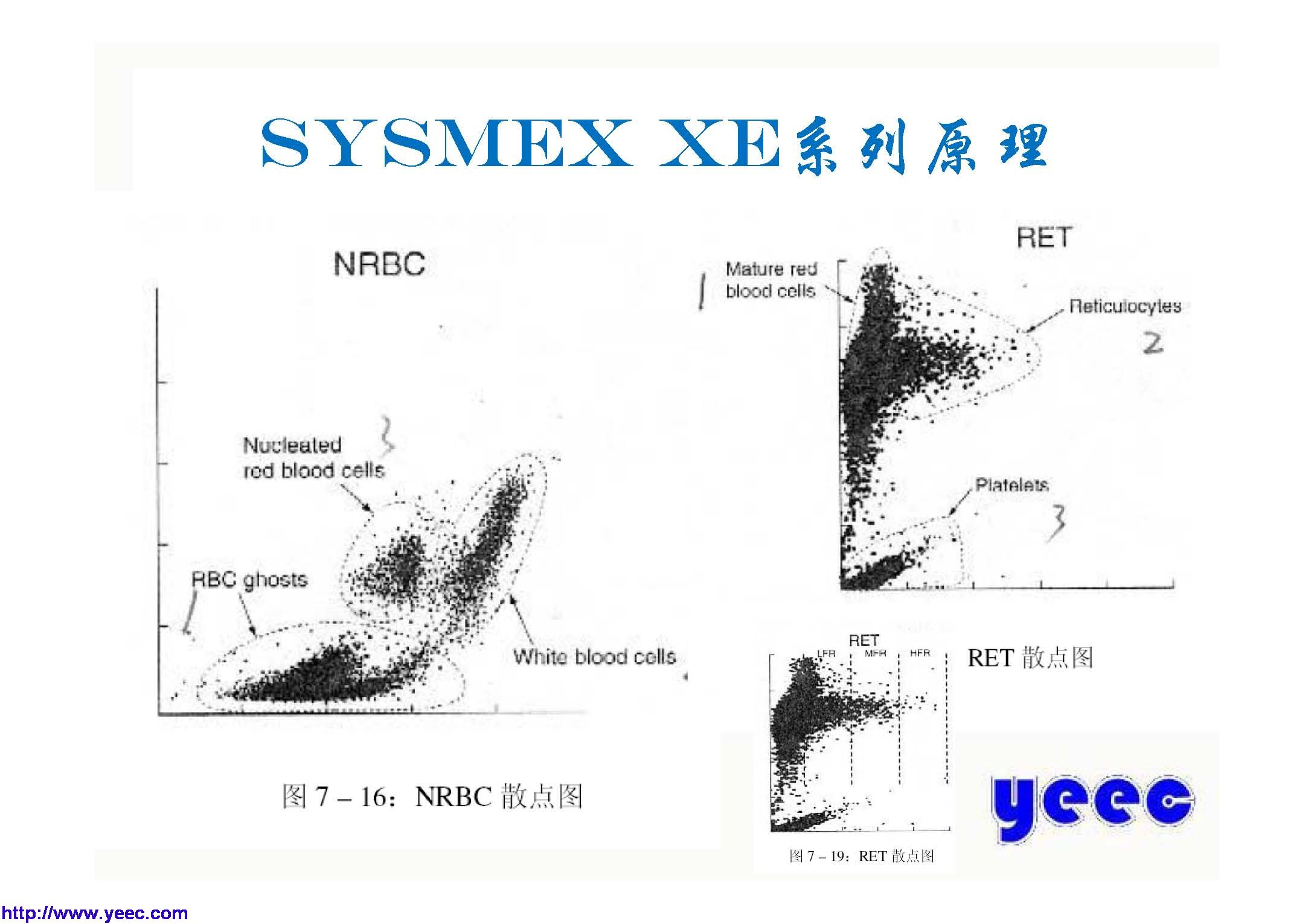 xe_页面_019.jpg