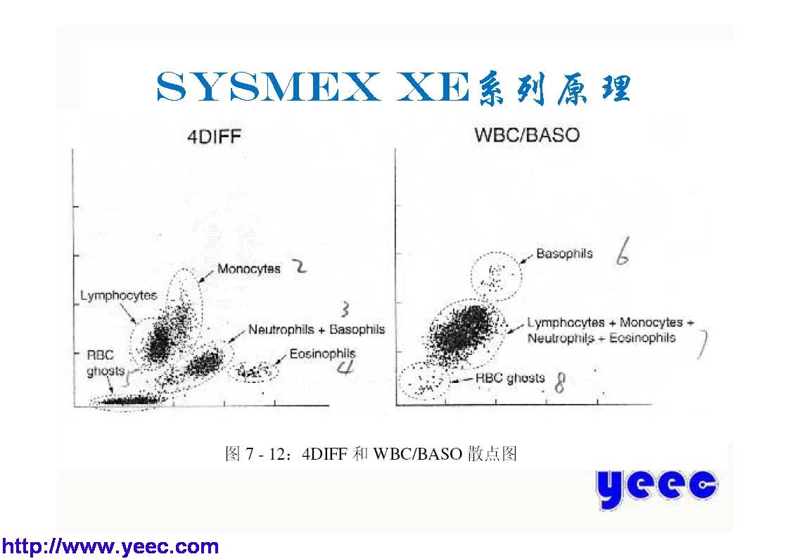 xe_页面_017.jpg