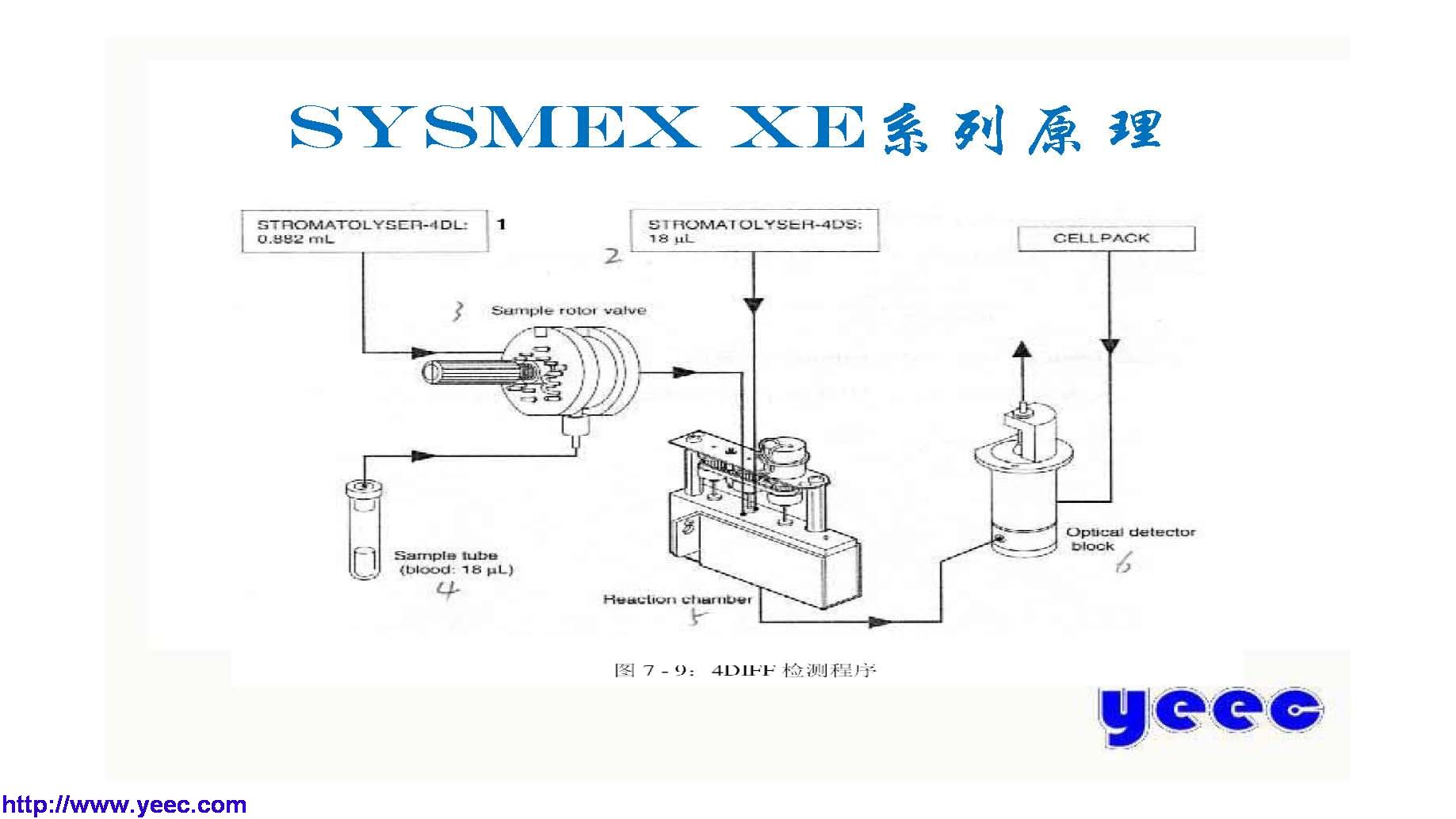 xe_页面_012.jpg