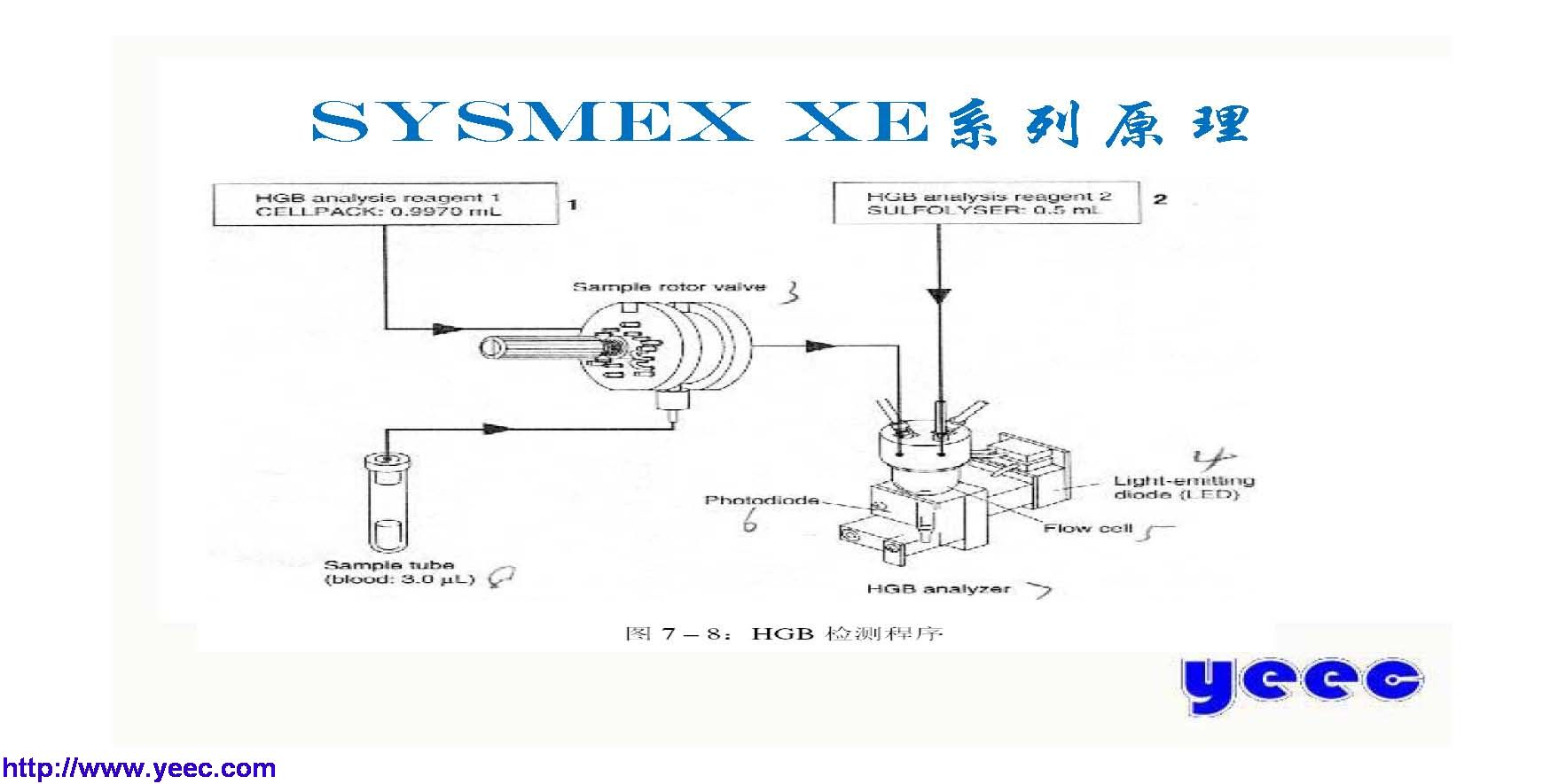 xe_页面_011.jpg