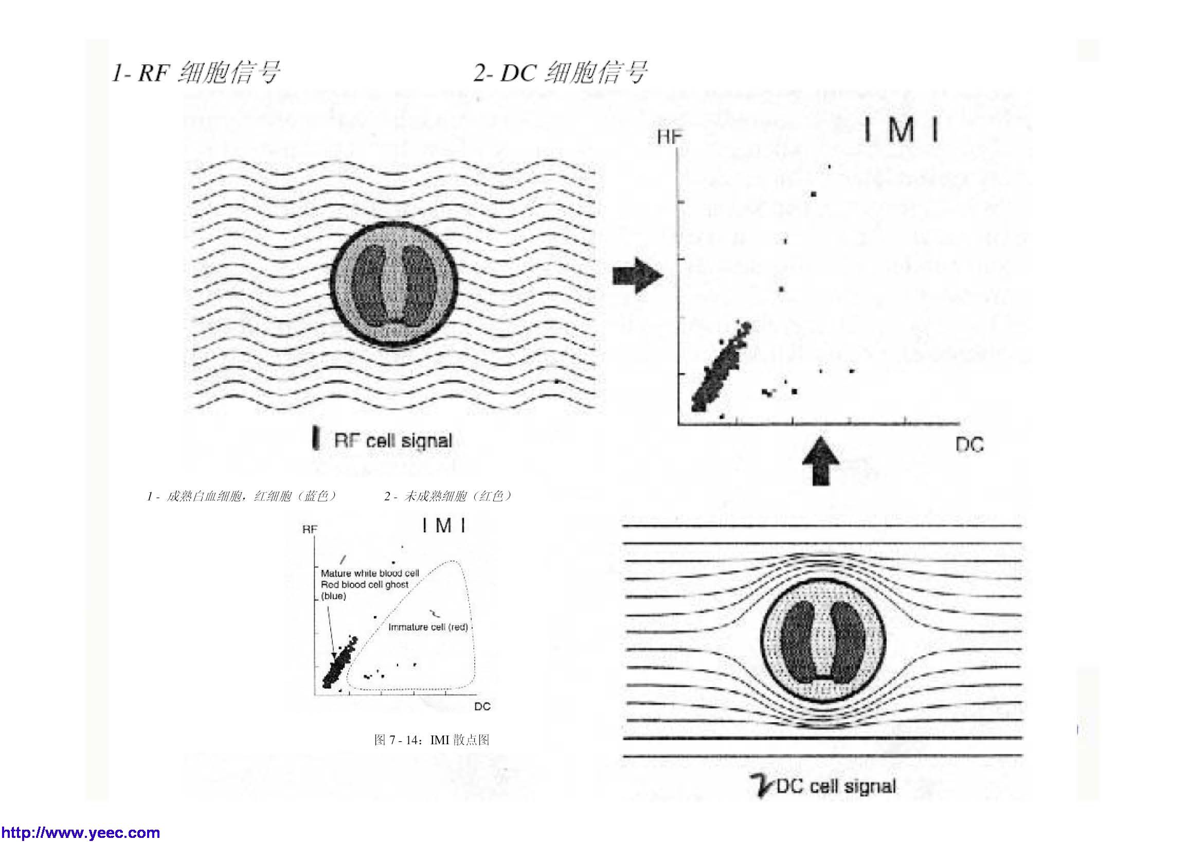 xe_页面_018.jpg