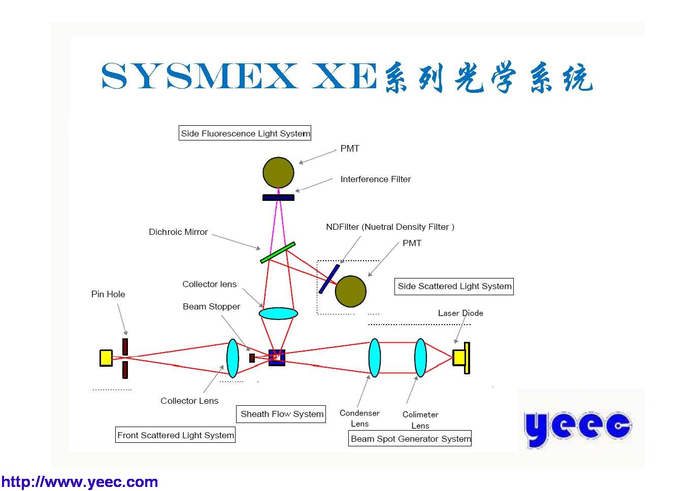 xe_页面_030.jpg