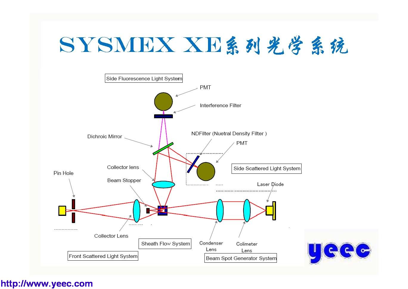 xe_页面_030.jpg