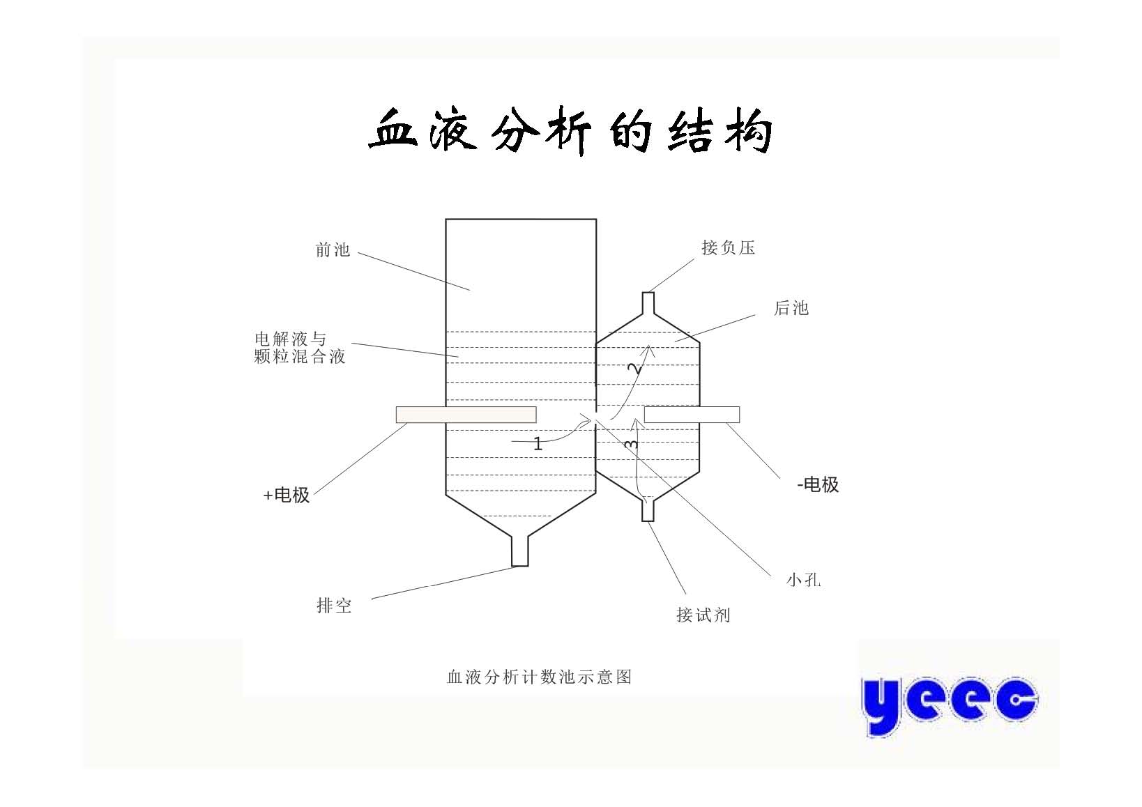 基础知识_页面_009.jpg